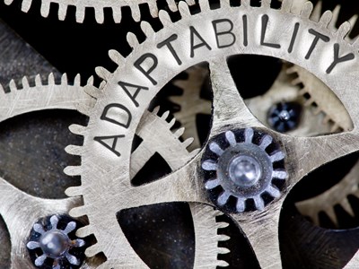 adaptability